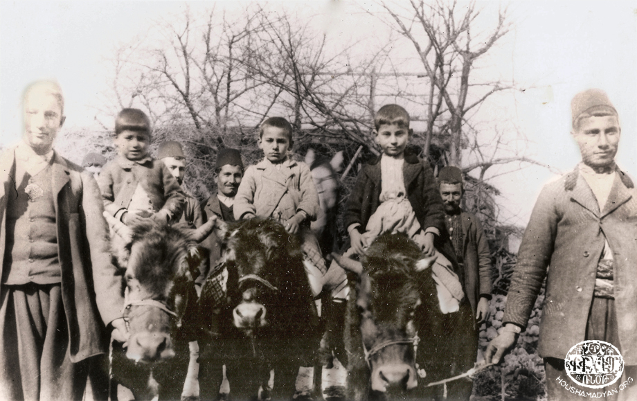 Սիս, 1904. կովերուն վրայ նստած փոքրիկները՝ Փայլակ, Կայծակ, Նիզակ Գասարճեան եղբայրները