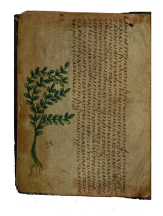 Parchment flyleaf of Manuscript 141