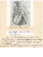 Բալահովտի գեղուհի մը իր բնիկ տարազով (նմանողաբար)
որը կը համապատասխանէ Բալահովիտի քաղաքացի ազնուական
դասակարգի պատկանող կանացի տարազին:
(Առնուած 1915 հայկական դէպքերէն, Հըրպըրդ Էտըմզ Կիպընզէն:)